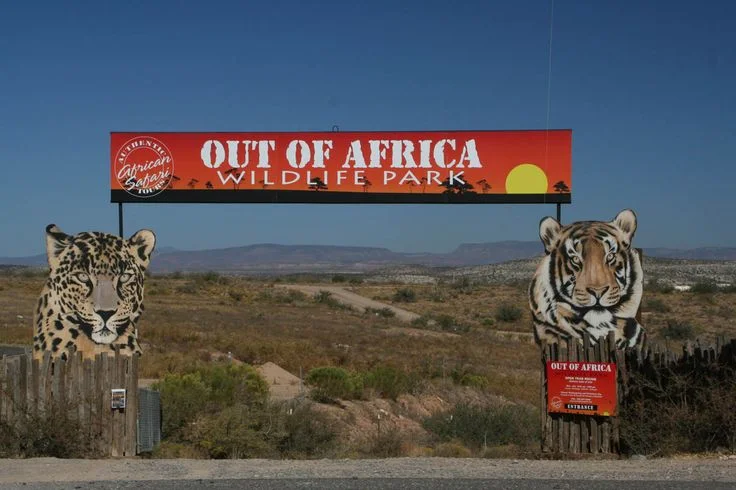 OUT OF AFRICA